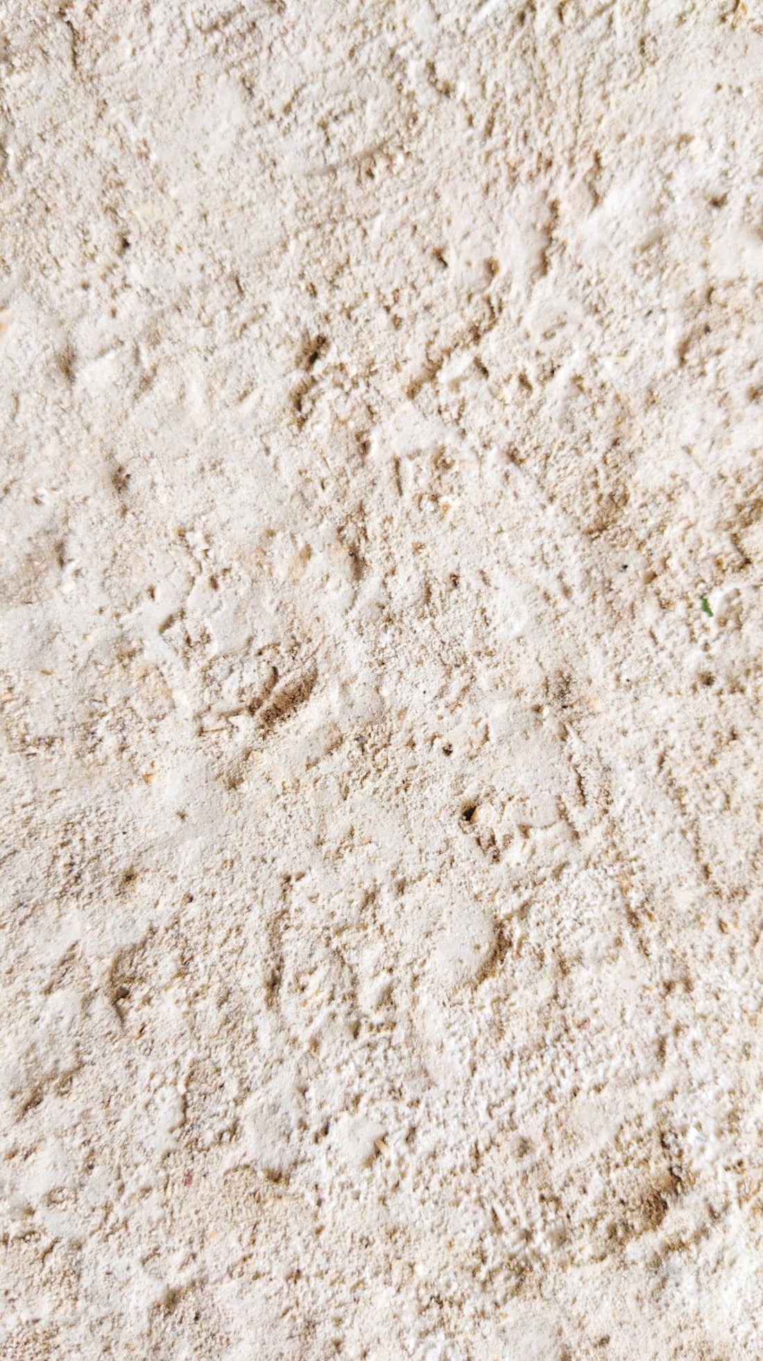 Zinc PCA, l'actif des peaux à imperfections - Clémence & Vivien