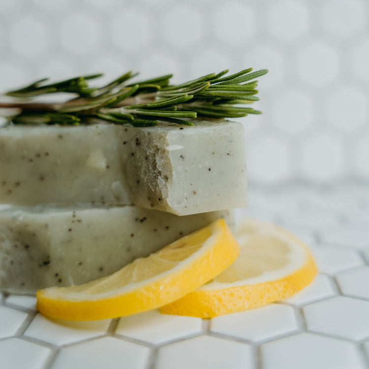 Savon à froid le gecko - Clémence & Vivien