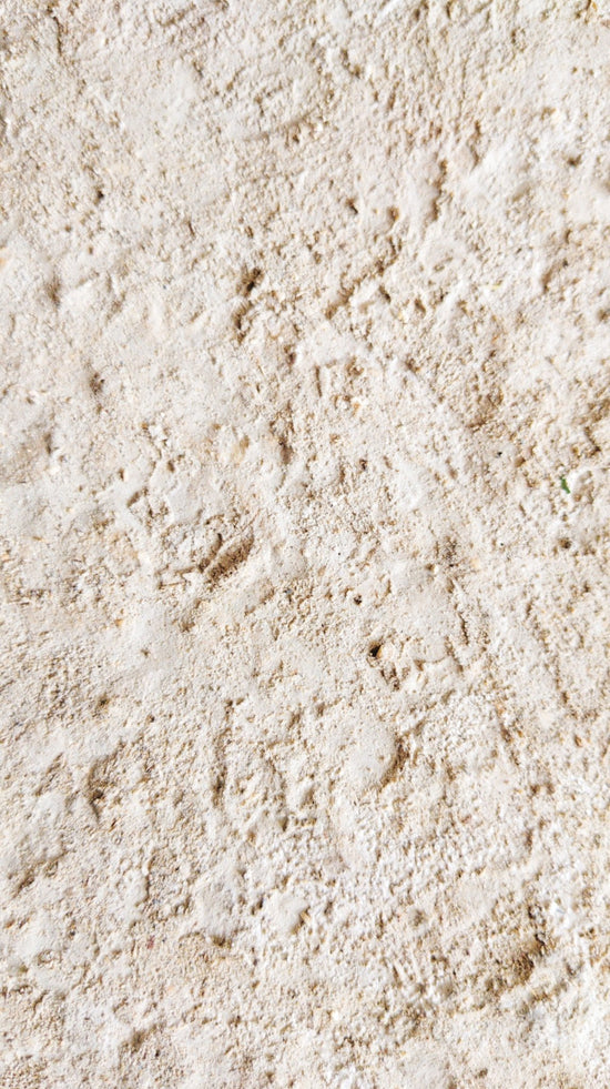 Zinc PCA, l'actif des peaux à imperfections - Clémence & Vivien